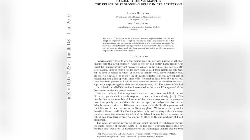 Do Longer Delays Matter? The Effect of Prolonging Delay in CTL   Activation