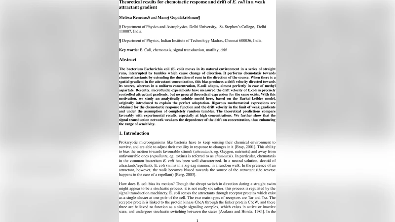 Theoretical results for chemotactic response and drift of E. coli in a   weak attractant gradient
