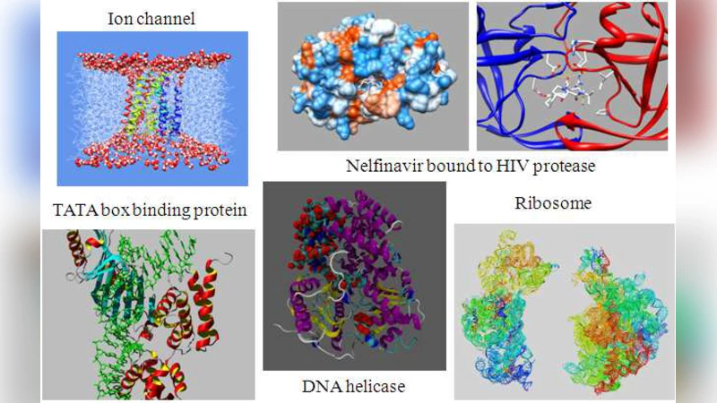 Quantum-assisted biomolecular modelling