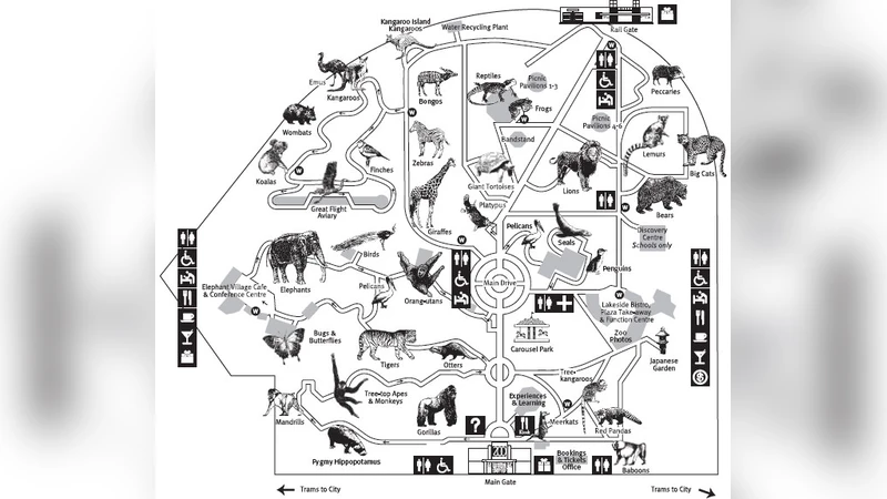 An Interactive Zoo Guide: A Case Study of Collaborative Learning