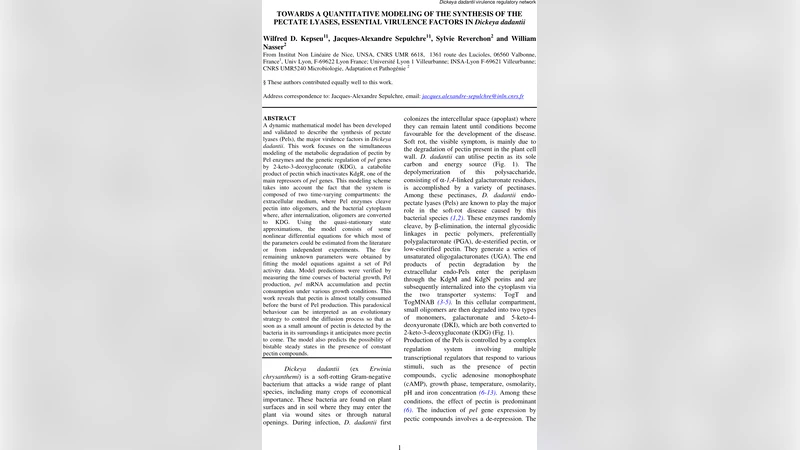 Towards a Quantitative Modeling of the Synthesis of the Pectate Lyases,   Essential Virulence Factors in Dickeya Dadantii