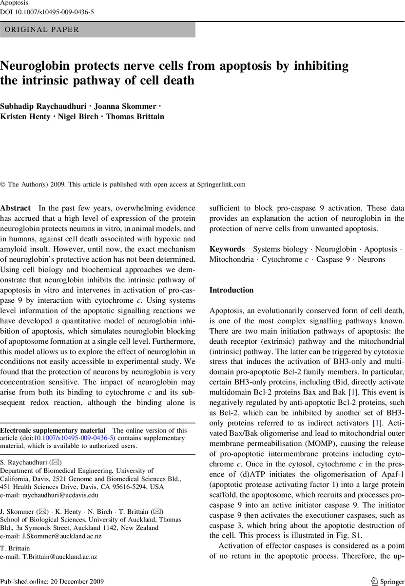 Neuroglobin protects nerve cells from apoptosis by inhibiting the   intrinsic pathway of cell death