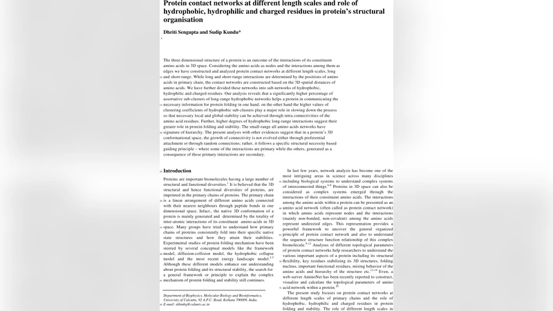 Protein contact networks at different length scales and role of   hydrophobic, hydrophilic and charged residues in proteins structural   organisation