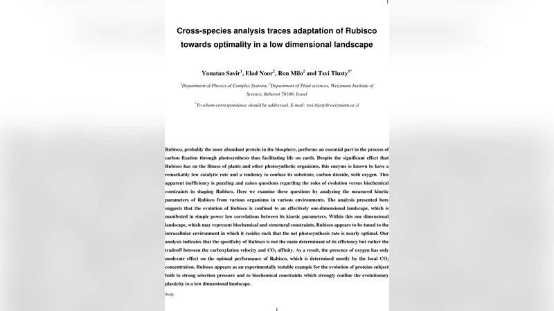 Cross-species analysis traces adaptation of Rubisco towards optimality   in a low dimensional landscape