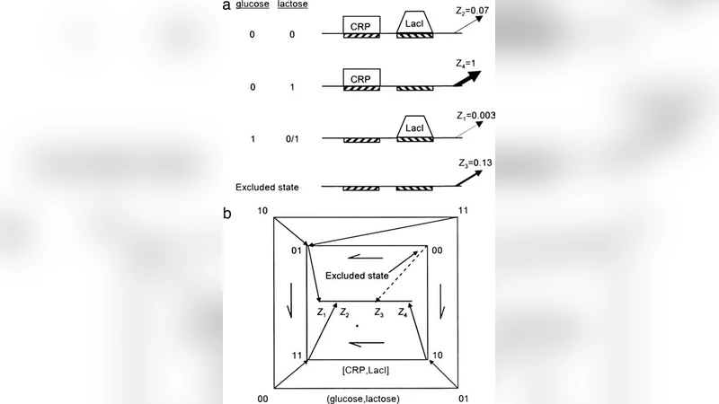Rules for biological regulation based on error minimization