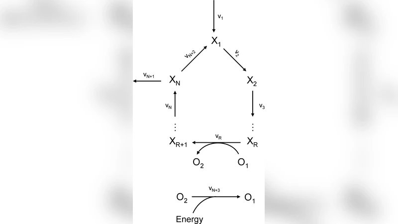 On the Stability of Metabolic Cycles