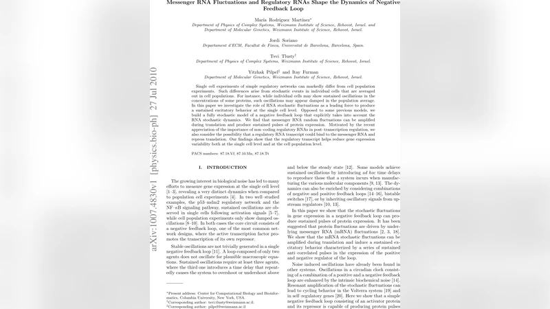 Messenger RNA Fluctuations and Regulatory RNAs Shape the Dynamics of   Negative Feedback Loop