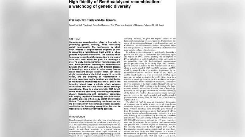 High fidelity of RecA-catalyzed recombination: a watchdog of genetic   diversity