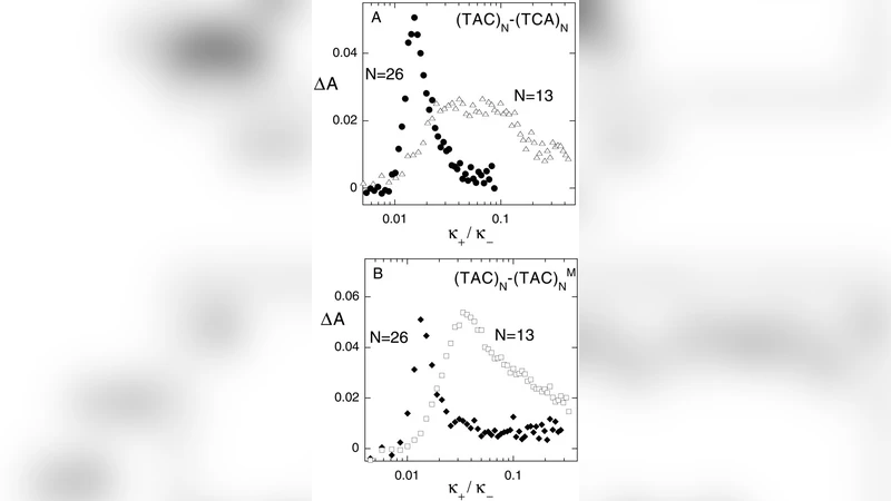Protein-DNA computation by stochastic assembly cascade