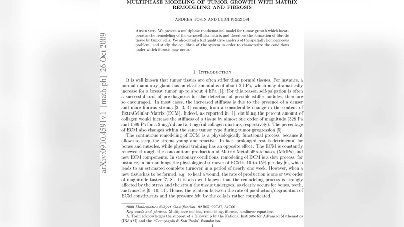 Multiphase modeling of tumor growth with matrix remodeling and fibrosis