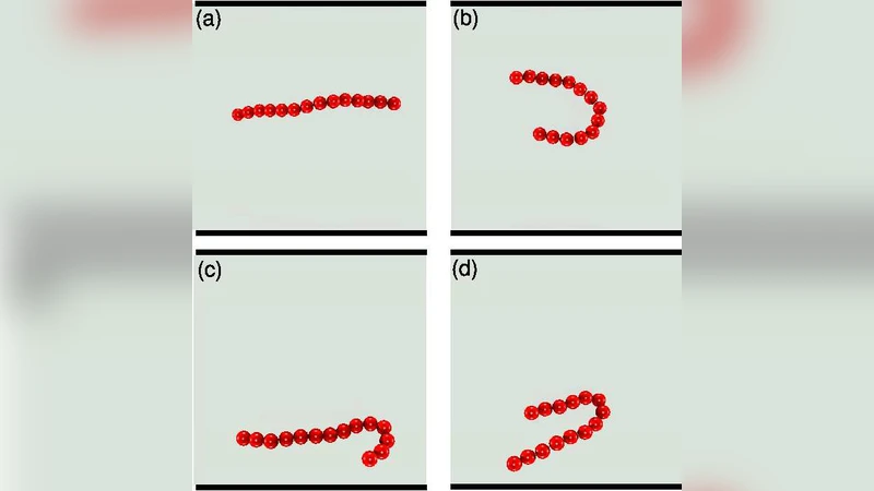 Migration of semiflexible polymers in microcapillary flow