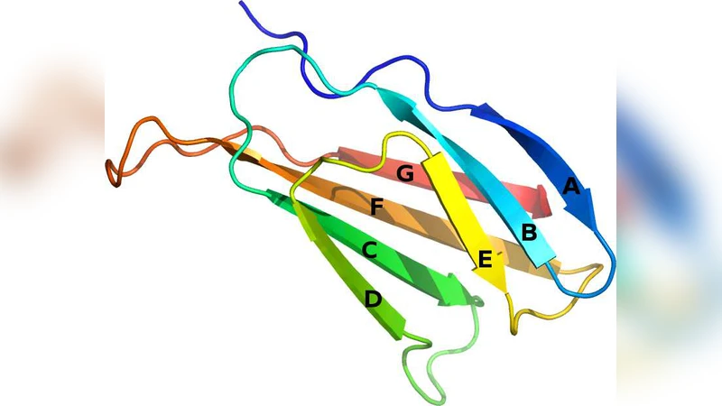 Pathways of mechanical unfolding of FnIII_{10}: low force intermediates