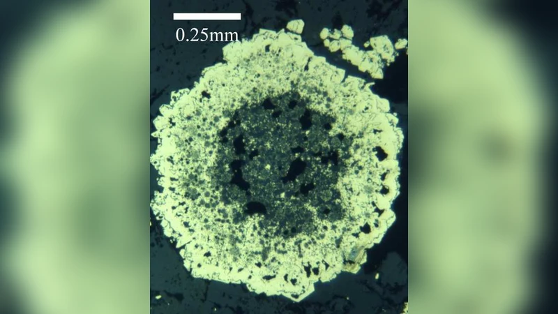 Genesis: A takeover from field-responsive matter?