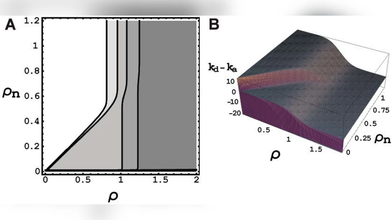 Homeostatic competition drives tumor growth and metastasis nucleation