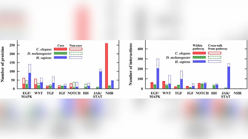 Uniformly curated signaling pathways reveal tissue-specific cross-talks   and support drug target discovery