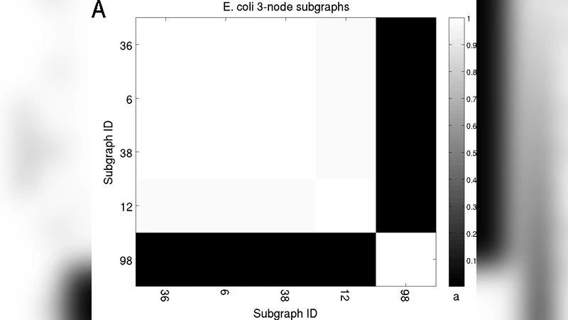 Network motifs come in sets: correlations in the randomization process