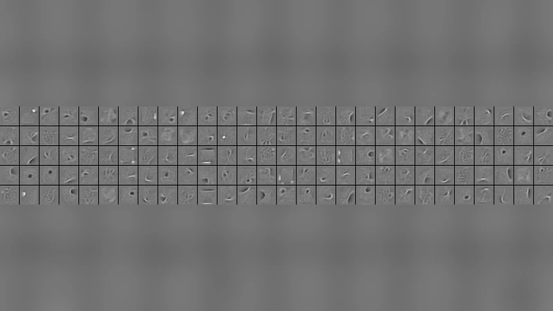 Sparse Group Restricted Boltzmann Machines