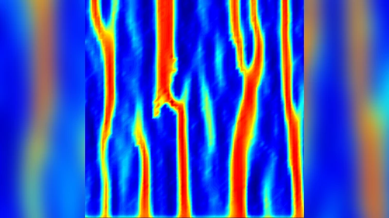 Flow-induced channelization in a porous medium