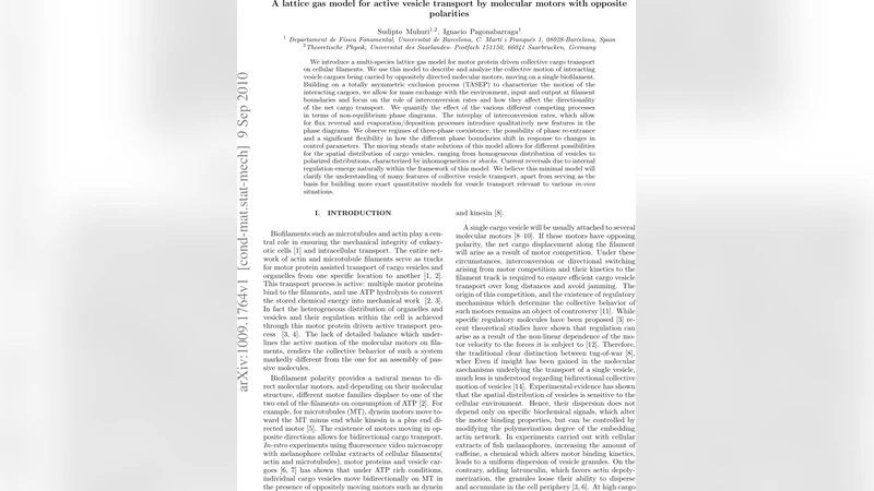 Lattice-gas model for active vesicle transport by molecular motors with   opposite polarities