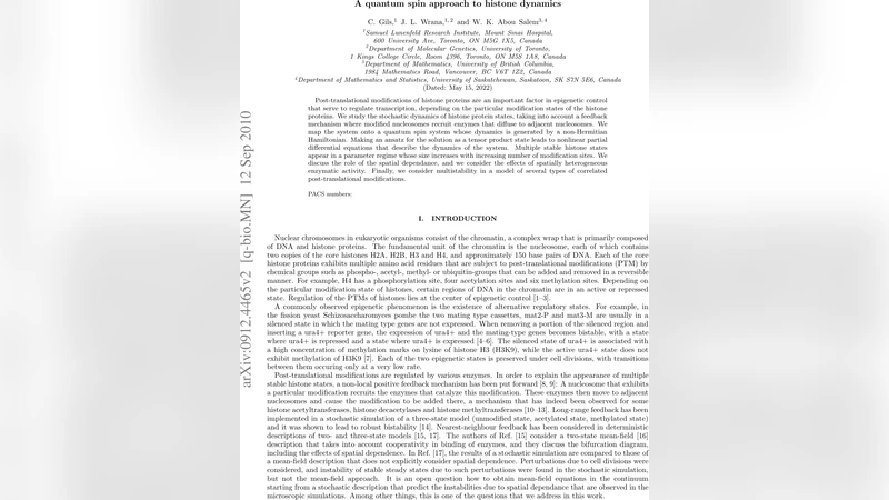 A quantum spin approach to histone dynamics