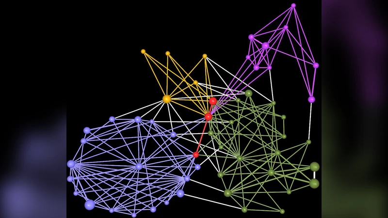 Community detection in graphs