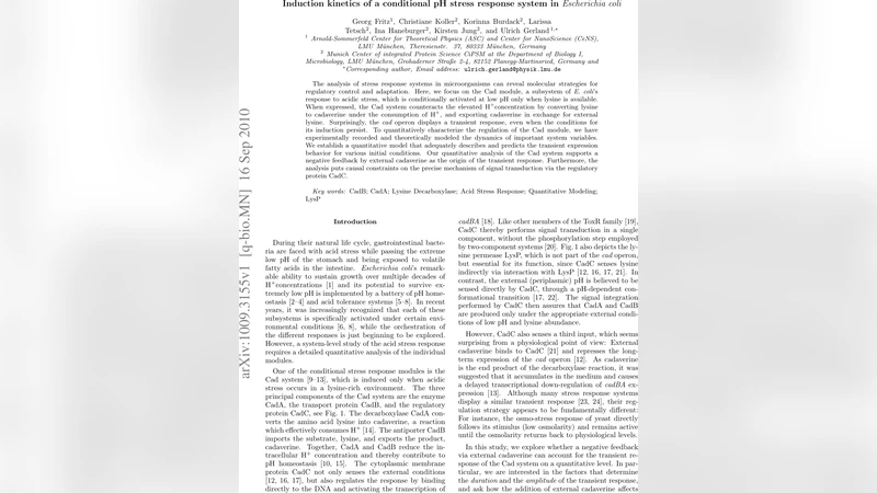 Induction kinetics of a conditional pH stress response system in   Escherichia coli