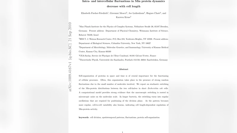 Intra- and intercellular fluctuations in Min-protein dynamics decrease   with cell length