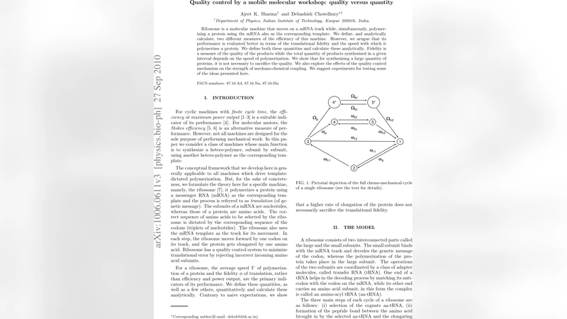 Quality control by a mobile molecular workshop: quality versus quantity