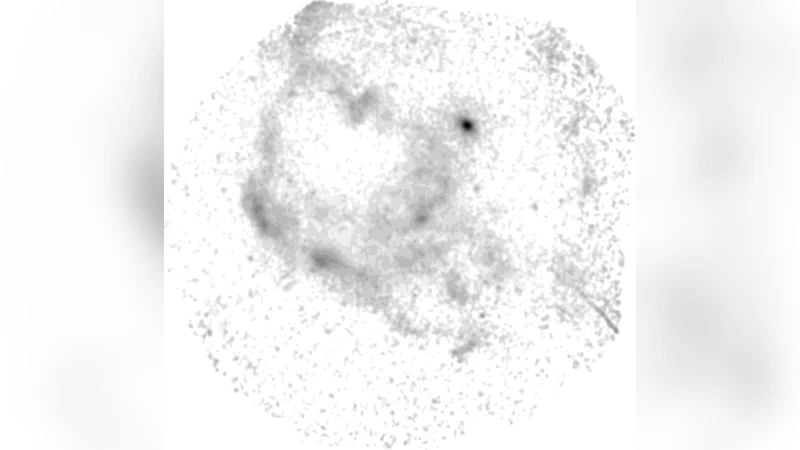 Limits of Gaudin Systems: Classical and Quantum Cases