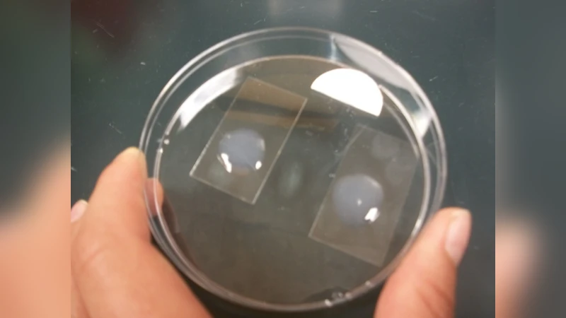 Modeling the effects of cymene on the distribution of germination and   growth of Beauveria bassiana