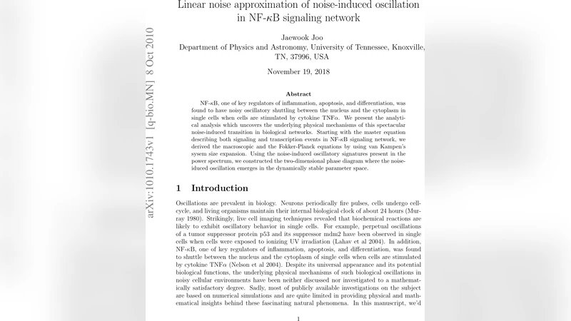 Linear noise approximation of noise-induced oscillation in NF-{kappa}B   signaling network