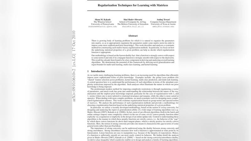 Regularization Techniques for Learning with Matrices