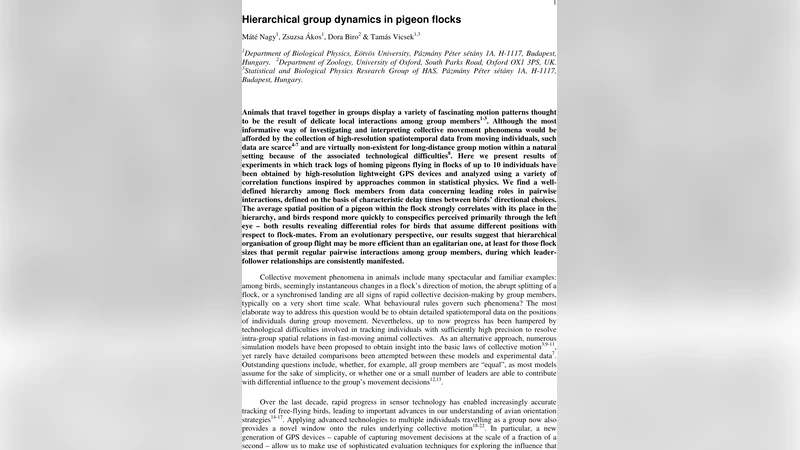 Hierarchical group dynamics in pigeon flocks