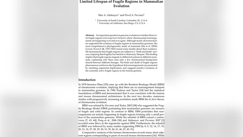 Limited Lifespan of Fragile Regions in Mammalian Evolution