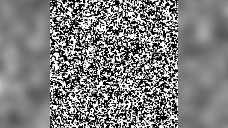 Statistics of opinion domains of the majority-vote model on a square   lattice