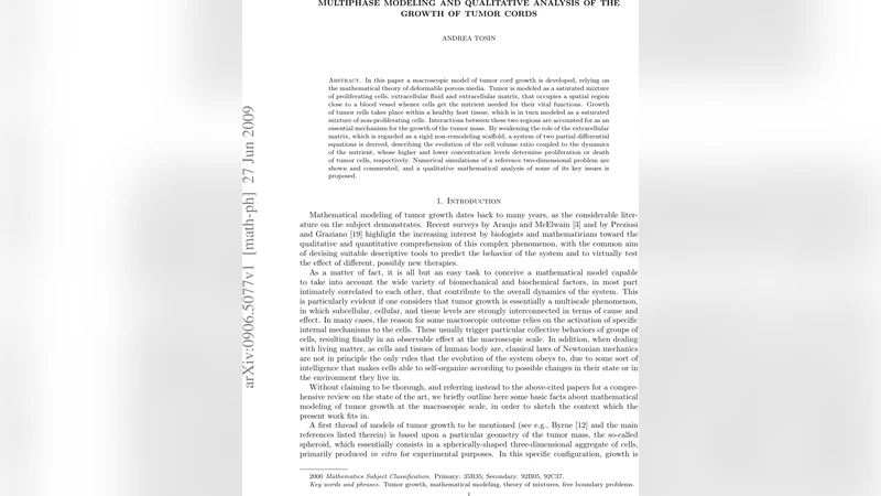 Multiphase modeling and qualitative analysis of the growth of tumor   cords