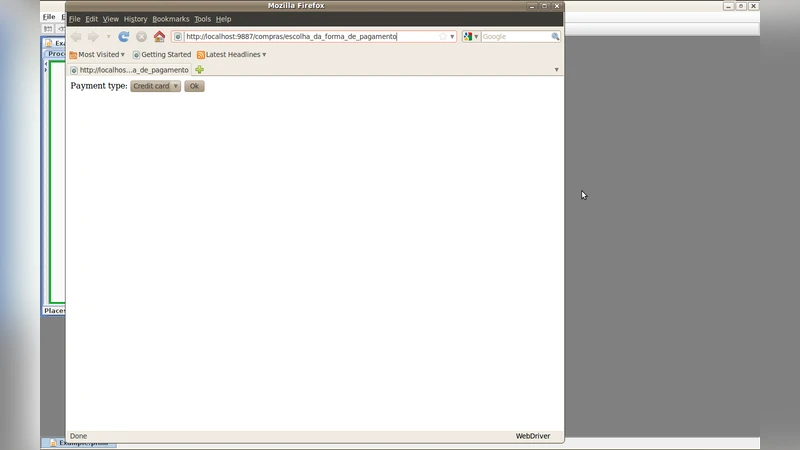 Introducing Business Language Driven Development