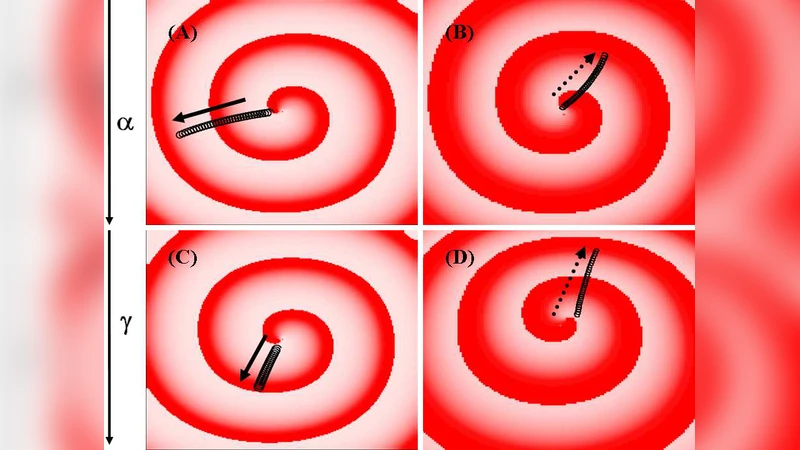 Anomalous drift of spiral waves in heterogeneous excitable media