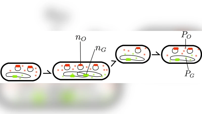 Inference of plasmid copy number mean and noise from single cell gene   expression data