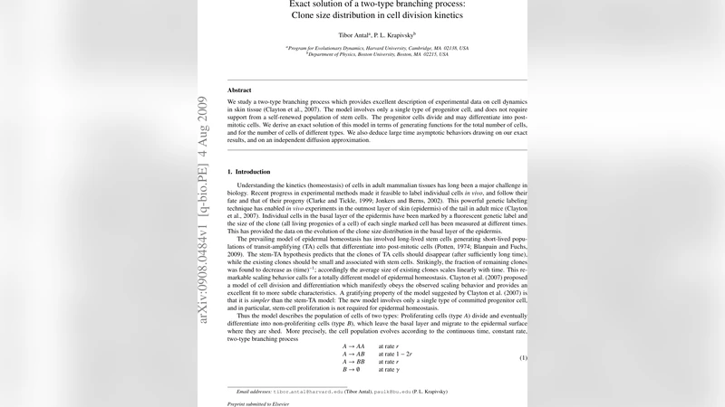 Exact solution of a two-type branching process: Clone size distribution   in cell division kinetics