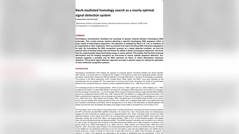 RecA-mediated homology search as a nearly optimal signal detection   system