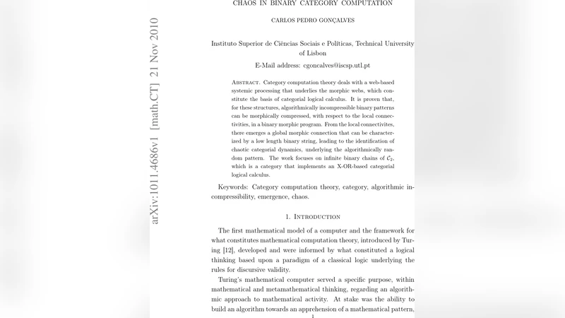 Chaos in Binary Category Computation