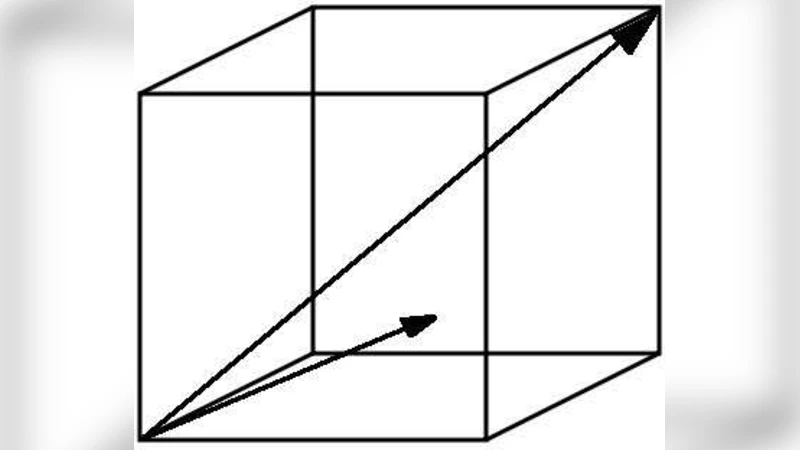 Optimal Placement Algorithms for Virtual Machines