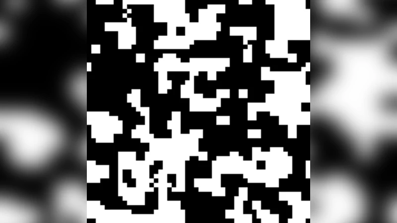 Stochastic Minority on Graphs