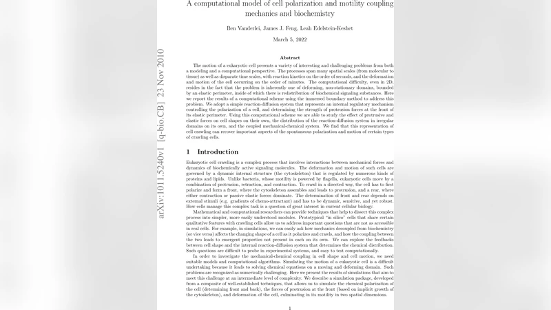 A computational model of cell polarization and motility coupling   mechanics and biochemistry