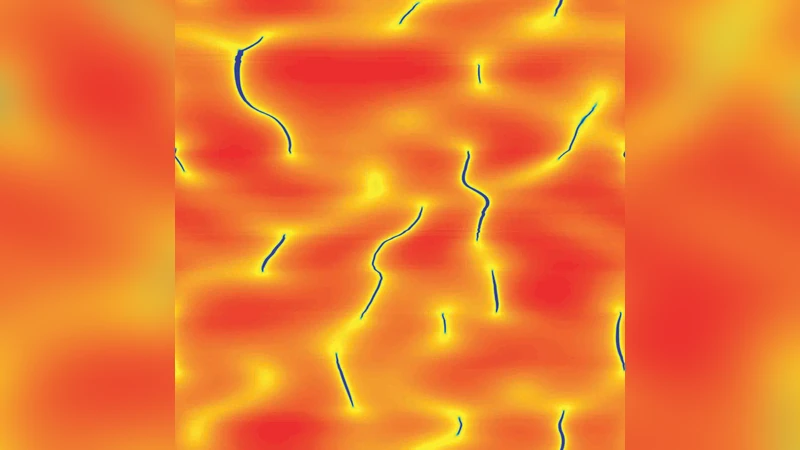 Turbulence and Magnetic Field Amplification in Supernova Remnants:   Interactions Between A Strong Shock Wave and Multi-Phase Interstellar Medium