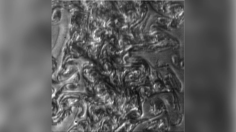 Experimental evidence of conformal invariance in soap film turbulent   flows