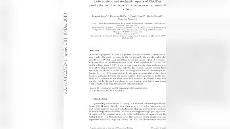 Deterministic and stochastic aspects of VEGF-A production and the   cooperative behavior of tumoral cell colony