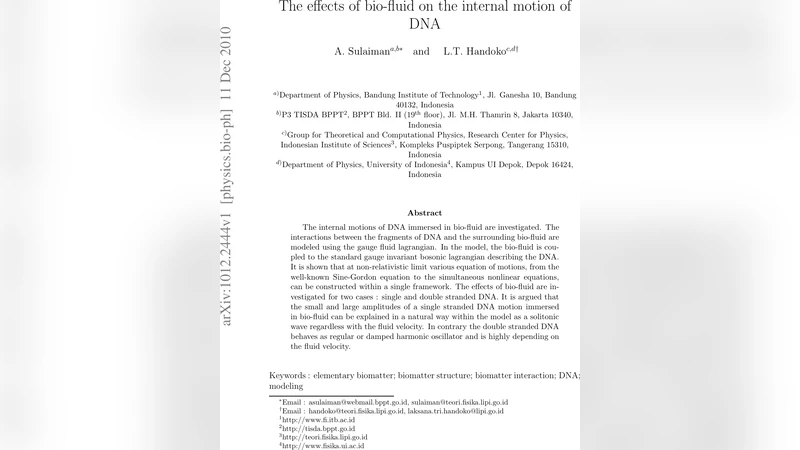 The effects of bio-fluid on the internal motion of DNA