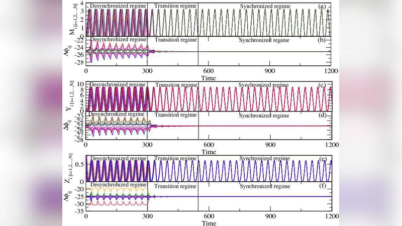 Measurement of phase synchrony of coupled segmentation clocks